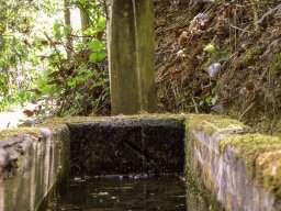 Brunnen